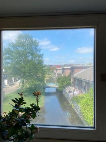 Tinyhouse Woody At The Water Apartment Zaandam Luaran gambar