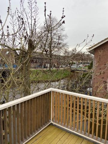 Tinyhouse Woody At The Water Apartment Zaandam Luaran gambar