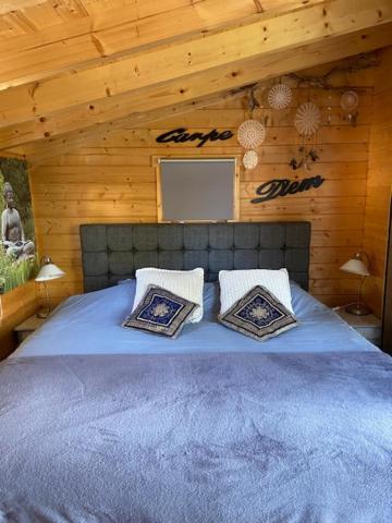 Tinyhouse Woody At The Water Apartment Zaandam Luaran gambar
